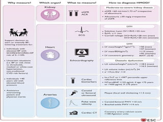 2024_ESC_GUIDELINES_FOR_THE_MANAGEMENT_OF_ELEGVATED[1] - Copy | PPTX