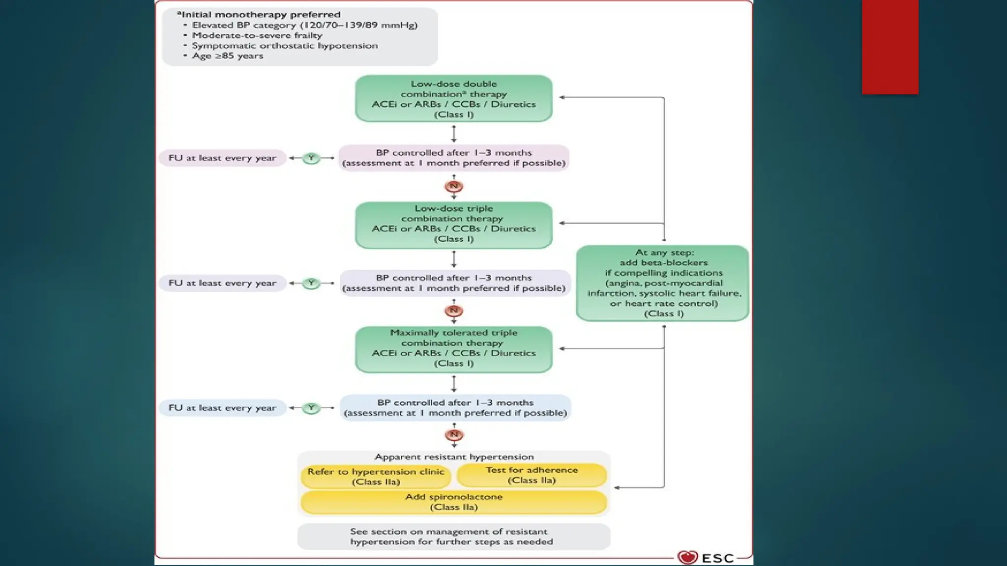 2024 ESC Guidelines for the management of elevated HTN | PPTX