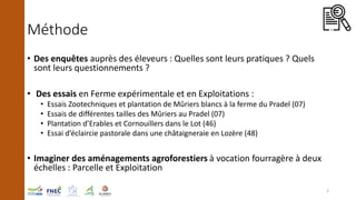 Méthode
• Des enquêtes auprès des éleveurs : Quelles sont leurs pratiques ? Quels
sont leurs questionnements ?
• Des essai...