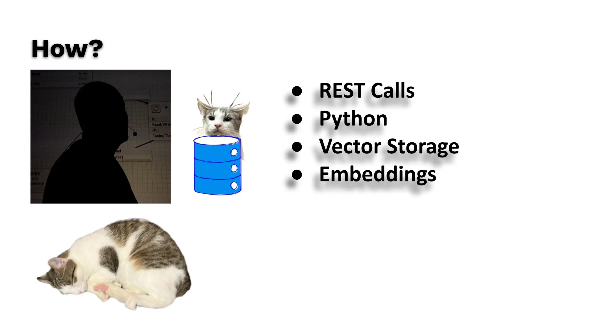 ● REST Calls
● Python
● Vector Storage
● Embeddings
How?
 