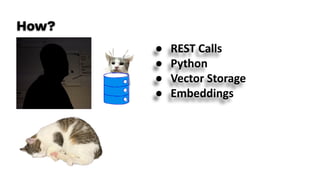 ● REST Calls
● Python
● Vector Storage
● Embeddings
How?
 