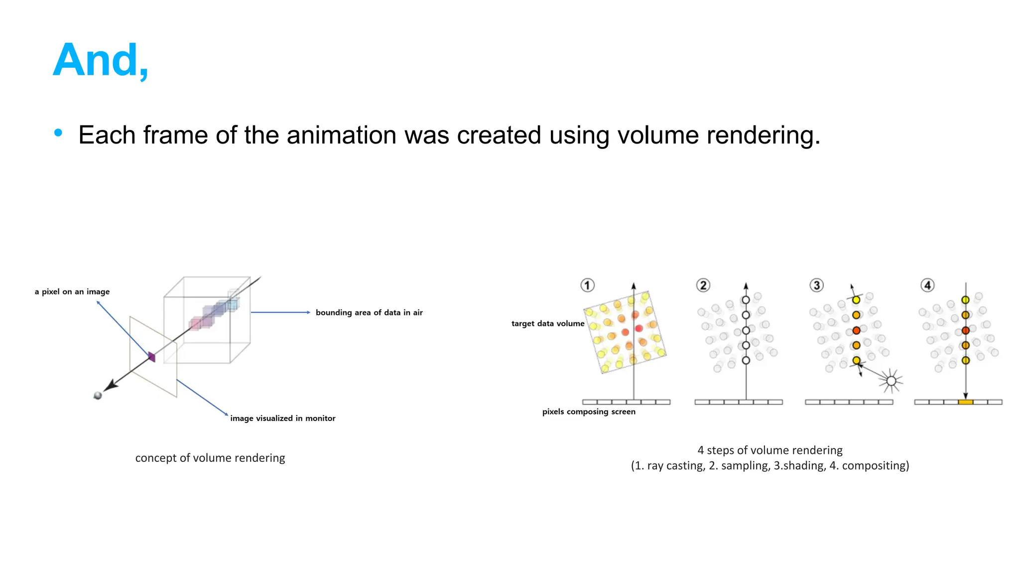 And,
• Each frame of the animation was created using volume rendering.
concept of volume rendering
4 steps of volume rendering
(1. ray casting, 2. sampling, 3.shading, 4. compositing)
 