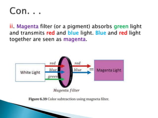 ii. Magenta filter (or a pigment) absorbs green light
and transmits red and blue light. Blue and red light
together are seen as magenta.
 