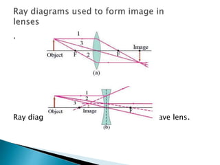 .
Ray diagram for (a) Convex lens (b) Concave lens.
 