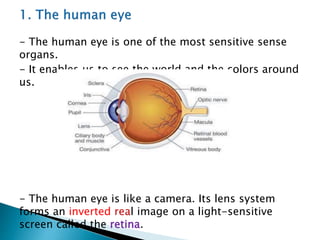 - The human eye is one of the most sensitive sense
organs.
- It enables us to see the world and the colors around
us.
- The human eye is like a camera. Its lens system
forms an inverted real image on a light-sensitive
screen called the retina.
 