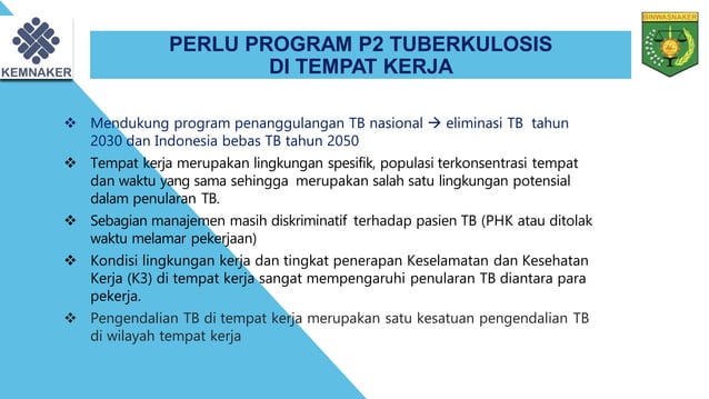 (2024) REGULASI P2 HIV-AIDS DAN TB DI TEMPAT KERJA.pdf