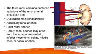• The three most common anatomic
variations of the renal arterial
circulation are:
• Duplicated main renal arteries
• Accessory renal arteries
• Polar renal arteries
• Rarely, renal arteries may arise
from the superior mesenteric,
inferior mesenteric, celiac, middle
colic, or sacral arteries.
 