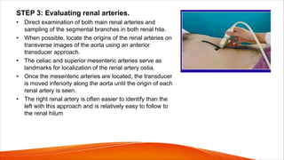 STEP 3: Evaluating renal arteries.
• Direct examination of both main renal arteries and
sampling of the segmental branches in both renal hila.
• When possible, locate the origins of the renal arteries on
transverse images of the aorta using an anterior
transducer approach.
• The celiac and superior mesenteric arteries serve as
landmarks for localization of the renal artery ostia.
• Once the mesenteric arteries are located, the transducer
is moved inferiorly along the aorta until the origin of each
renal artery is seen.
• The right renal artery is often easier to identify than the
left with this approach and is relatively easy to follow to
the renal hilum
 