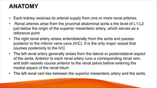 ANATOMY
• Each kidney receives its arterial supply from one or more renal arteries.
• Renal arteries arise from the proximal abdominal aorta a the level of L1-L2
just below the origin of the superior mesenteric artery, which serves as a
reference point
• The right renal artery arises anterolaterally from the aorta and passes
posterior to the inferior vena cava (IVC). It is the only major vessel that
courses posteriorly to the IVC.
• The left renal artery generally arises from the lateral or posterolateral aspect
of the aorta. Anterior to each renal artery runs a corresponding renal vein,
and both vessels course anterior to the renal pelvis before entering the
medial aspect of the renal hilum
• The left renal vein lies between the superior mesenteric artery and the aorta.
 