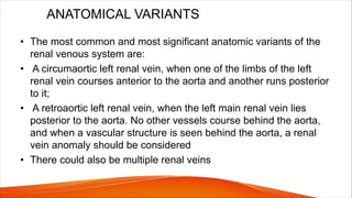ANATOMICAL VARIANTS
• The most common and most significant anatomic variants of the
renal venous system are:
• A circumaortic left renal vein, when one of the limbs of the left
renal vein courses anterior to the aorta and another runs posterior
to it;
• A retroaortic left renal vein, when the left main renal vein lies
posterior to the aorta. No other vessels course behind the aorta,
and when a vascular structure is seen behind the aorta, a renal
vein anomaly should be considered
• There could also be multiple renal veins
 
