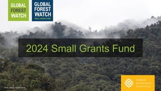 2024 Small Grants Fund
Photo: Aves y Conservacion
 