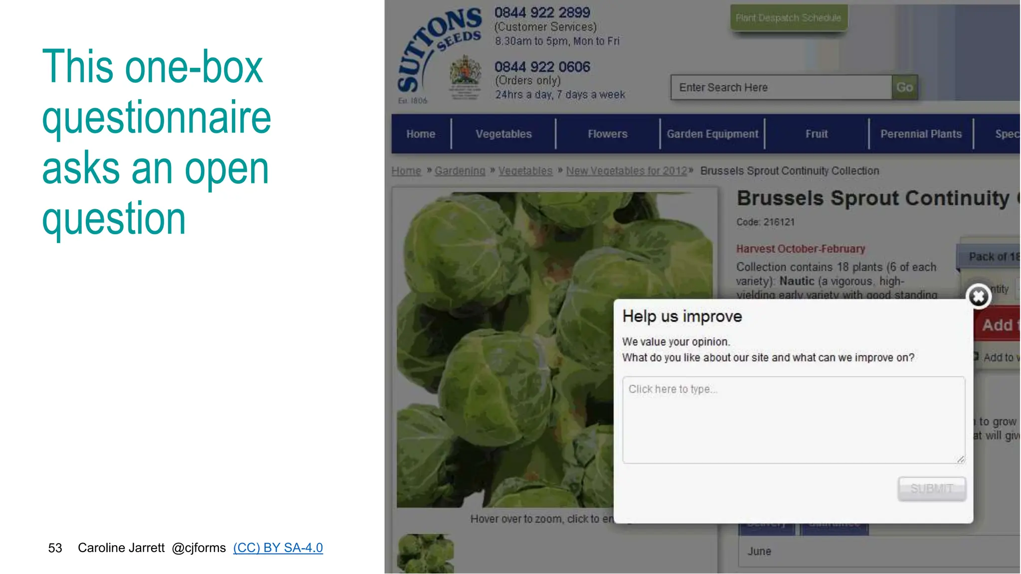 Caroline Jarrett @cjforms (CC) BY SA-4.0
53
This one-box
questionnaire
asks an open
question
 