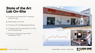 Lion One Metals Corporate Presentation - May 2025
