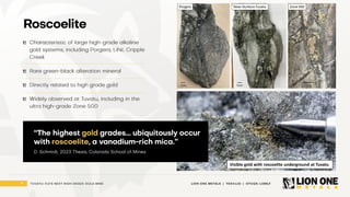 Visible gold with roscoelite underground at Tuvatu
 