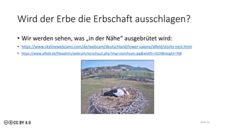 Wird der Erbe die Erbschaft ausschlagen?
• Wir werden sehen, was „in der Nähe“ ausgebrütet wird:
• https://www.skylinewebcams.com/de/webcam/deutschland/lower-saxony/alfeld/storks-nest.html
• https://www.alfeld.de/fileadmin/webcam/vorschau2.php?img=storchcam.jpg&width=1024&height=768
Seite 25
 