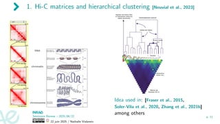 1. Hi-C matrices and hierarchical clustering [Neuvial et al., 2023]
Idea used in: [Fraser et al., 2015,
Soler-Vila et al., 2020, Zhang et al., 2021b]
among others
Séminaire Rennes – 2025/06/22
22 juin 2025 / Nathalie Vialaneix
p. 11
 