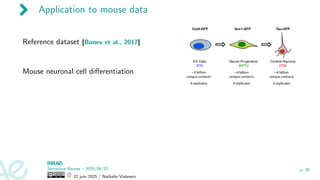 Application to mouse data
Reference dataset [Bonev et al., 2017]
Mouse neuronal cell differentiation
Séminaire Rennes – 2025/06/22
22 juin 2025 / Nathalie Vialaneix
p. 26
 