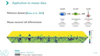 Application to mouse data
Reference dataset [Bonev et al., 2017]
Mouse neuronal cell differentiation
Séminaire Rennes – 2025/06/22
22 juin 2025 / Nathalie Vialaneix
p. 26
 