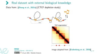 Real dataset with external biological knowledge
Data from: [Zhang et al., 2021a] (CTCF depletion study)
image adapted from: [Fudenberg et al., 2016]
Séminaire Rennes – 2025/06/22
22 juin 2025 / Nathalie Vialaneix
p. 27
 