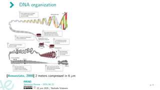DNA organization
[Annunziato, 2008] 2 meters compressed in 6 µm
Séminaire Rennes – 2025/06/22
22 juin 2025 / Nathalie Vialaneix
p. 5
 