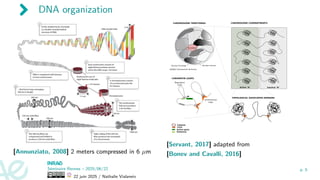 DNA organization
[Annunziato, 2008] 2 meters compressed in 6 µm
[Servant, 2017] adapted from
[Bonev and Cavalli, 2016]
Séminaire Rennes – 2025/06/22
22 juin 2025 / Nathalie Vialaneix
p. 5
 