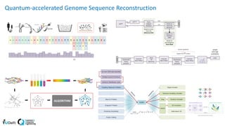 Quantum-accelerated Genome Sequence Reconstruction
 