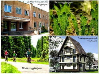 "Заречный-2025: выбор города" (О.Савкина, И.Кондратьева, Д.Медведева, 2015)