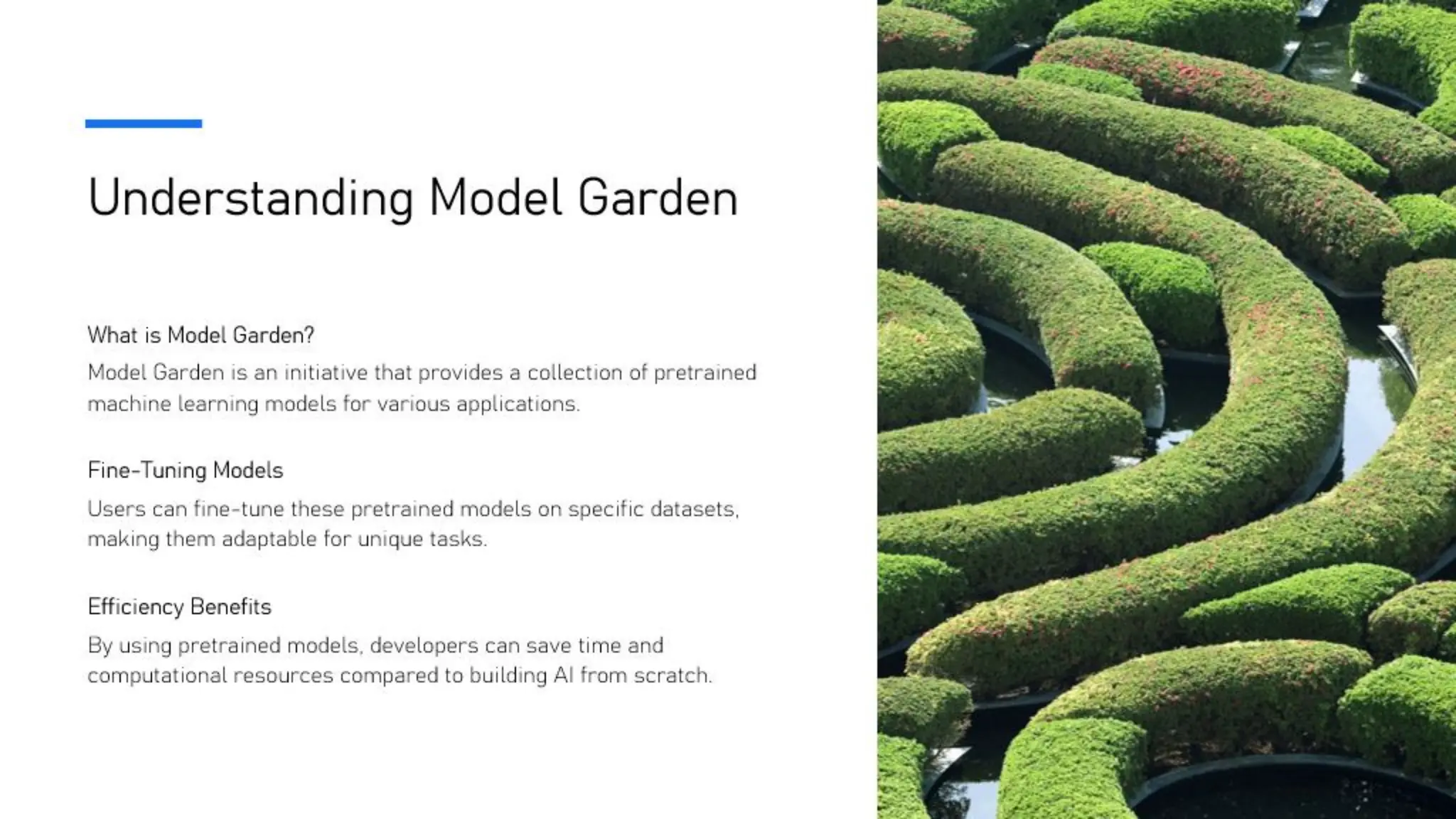 Build with AI
on Google Cloud
Q&A
14
 