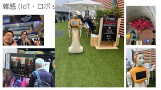 雑感 (IoT・ロボット)
 