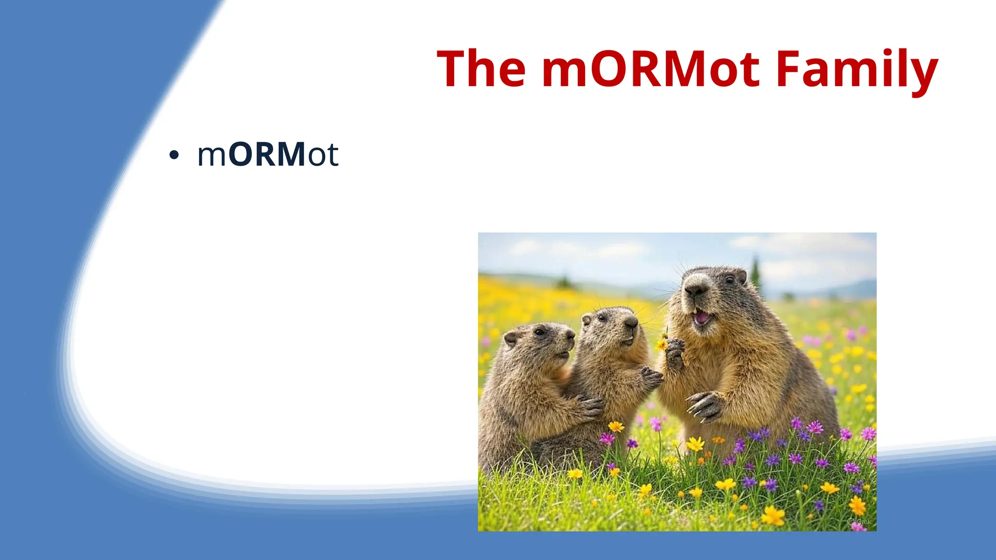 The mORMot Family
• mORMot
 