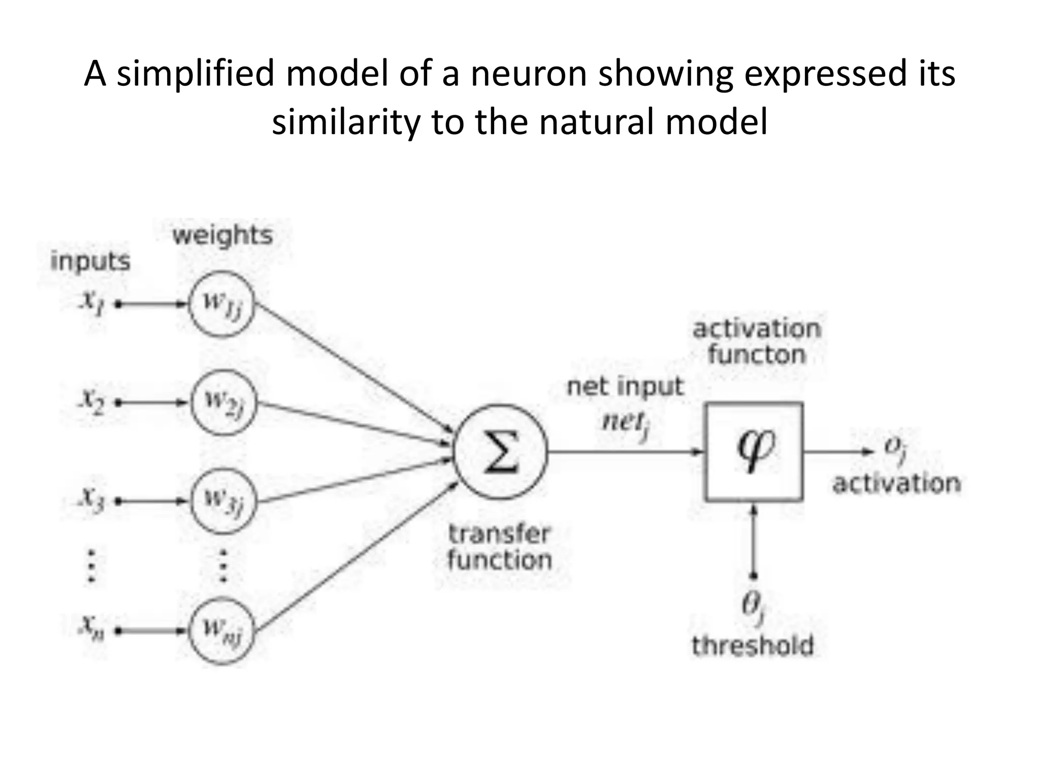 A simplified model of a neuron showing expressed its
similarity to the natural model
 