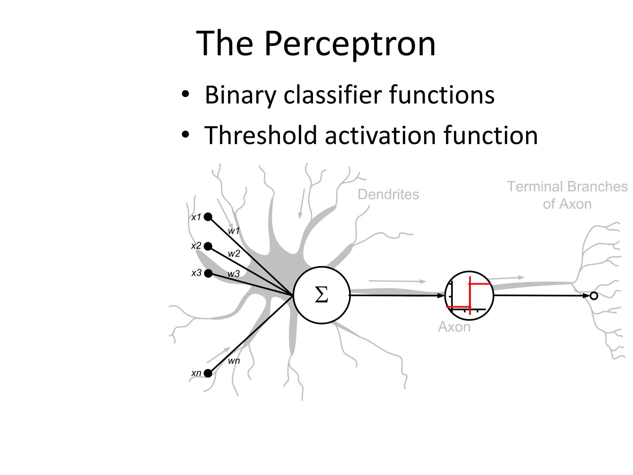 The Perceptron
• Binary classifier functions
• Threshold activation function
Axon
Terminal Branches
of Axon
Dendrites
S
x1
x2
w1
w2
wn
xn
x3 w3
 