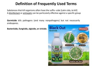 2025 07 08 Clase 4.pdf microbiologia en quimica farmaceutica | PDF