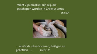 Want Zijn maaksel zijn wij, die
geschapen worden in Christus Jezus
Ef.2:10a
....als Gods uitverkorenen, heiligen en
geliefden .... Kol.3:12a
 