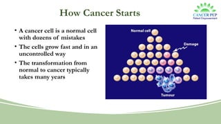 How Cancer Starts
• A cancer cell is a normal cell
with dozens of mistakes
• The cells grow fast and in an
uncontrolled way
• The transformation from
normal to cancer typically
takes many years
 