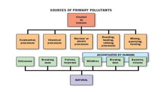 Pollutants Classification POLLUTANTS THEIR SOURCES AND CLASSIFICATION.pdf