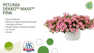 2025 All-America Selections Winning Plants | PPT