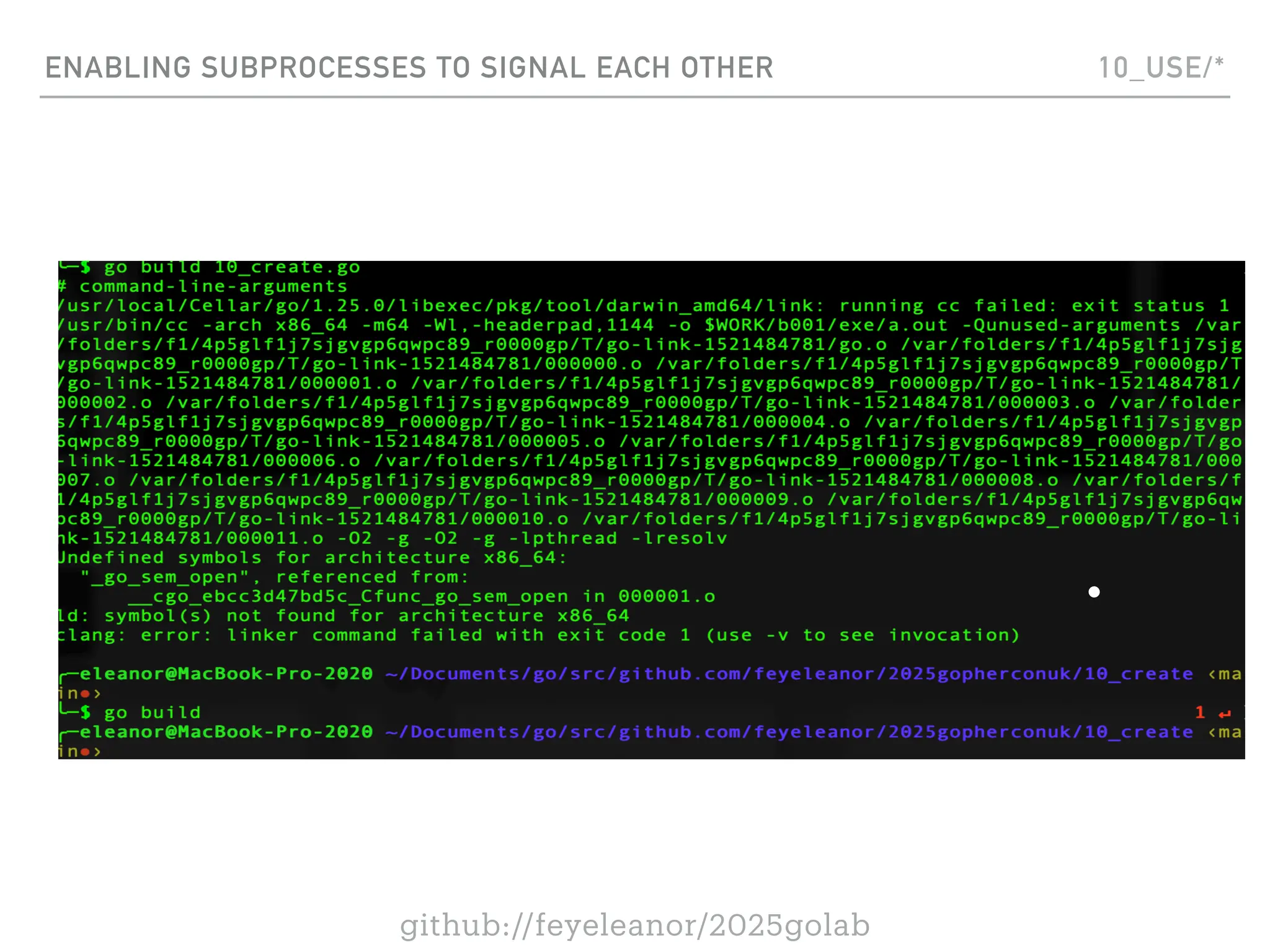 github://feyeleanor/2025golab
ENABLING SUBPROCESSES TO SIGNAL EACH OTHER 10_USE/*
 