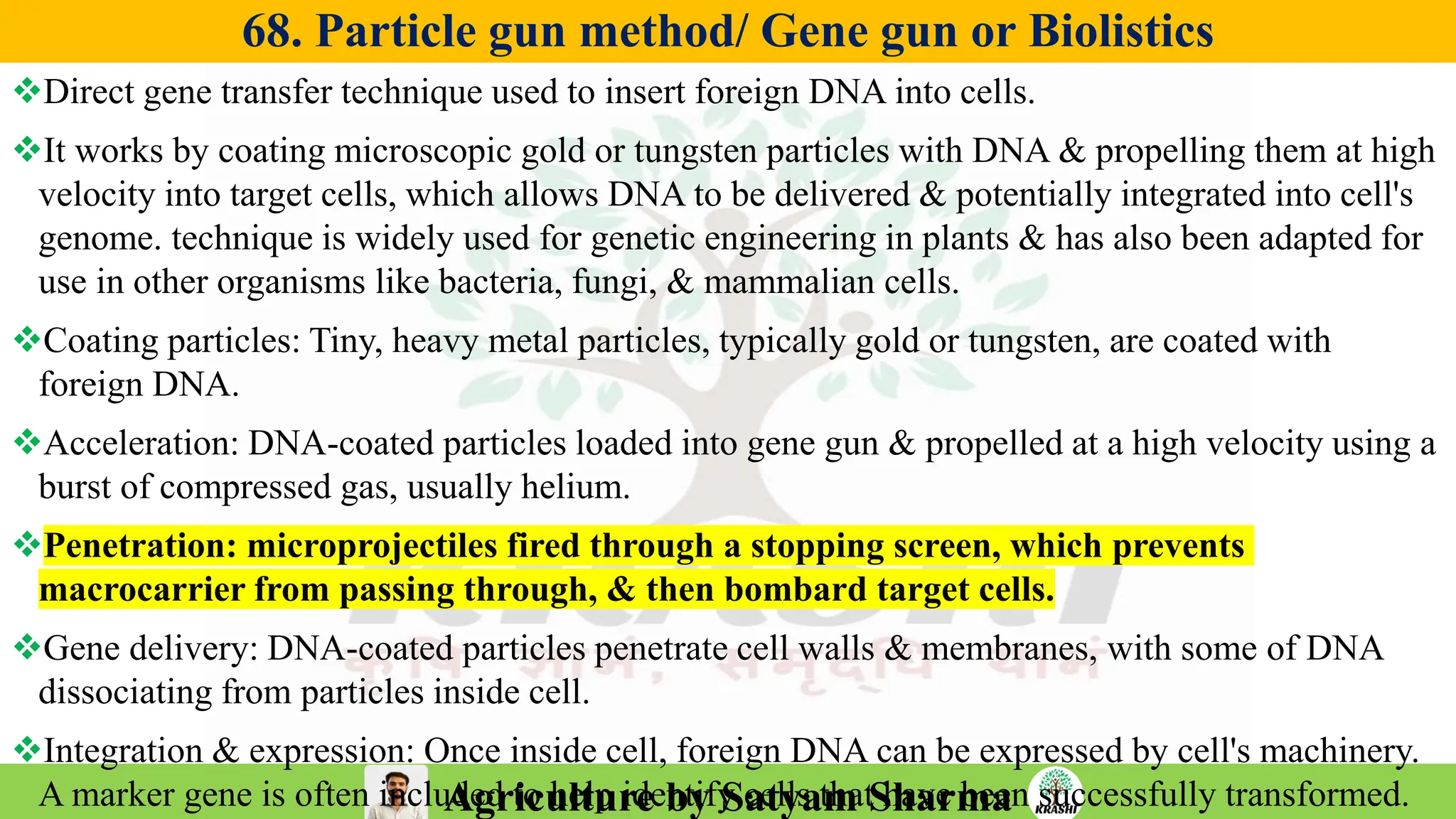 Agriculture by Satyam Sharma
68. Particle gun method/ Gene gun or Biolistics
❖Direct gene transfer technique used to insert foreign DNA into cells.
❖It works by coating microscopic gold or tungsten particles with DNA & propelling them at high
velocity into target cells, which allows DNA to be delivered & potentially integrated into cell's
genome. technique is widely used for genetic engineering in plants & has also been adapted for
use in other organisms like bacteria, fungi, & mammalian cells.
❖Coating particles: Tiny, heavy metal particles, typically gold or tungsten, are coated with
foreign DNA.
❖Acceleration: DNA-coated particles loaded into gene gun & propelled at a high velocity using a
burst of compressed gas, usually helium.
❖Penetration: microprojectiles fired through a stopping screen, which prevents
macrocarrier from passing through, & then bombard target cells.
❖Gene delivery: DNA-coated particles penetrate cell walls & membranes, with some of DNA
dissociating from particles inside cell.
❖Integration & expression: Once inside cell, foreign DNA can be expressed by cell's machinery.
A marker gene is often included to help identify cells that have been successfully transformed.
 