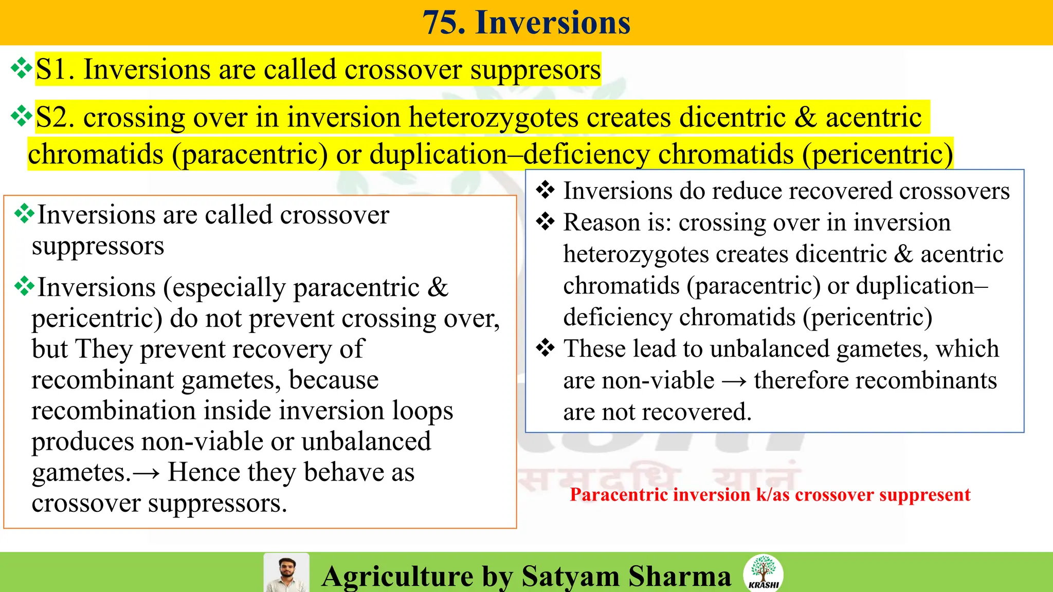 Agriculture by Satyam Sharma
75. Inversions
❖S1. Inversions are called crossover suppresors
❖S2. crossing over in inversion heterozygotes creates dicentric & acentric
chromatids (paracentric) or duplication–deficiency chromatids (pericentric)
❖Inversions are called crossover
suppressors
❖Inversions (especially paracentric &
pericentric) do not prevent crossing over,
but They prevent recovery of
recombinant gametes, because
recombination inside inversion loops
produces non-viable or unbalanced
gametes.→ Hence they behave as
crossover suppressors.
❖ Inversions do reduce recovered crossovers
❖ Reason is: crossing over in inversion
heterozygotes creates dicentric & acentric
chromatids (paracentric) or duplication–
deficiency chromatids (pericentric)
❖ These lead to unbalanced gametes, which
are non-viable → therefore recombinants
are not recovered.
Paracentric inversion k/as crossover suppresent
 