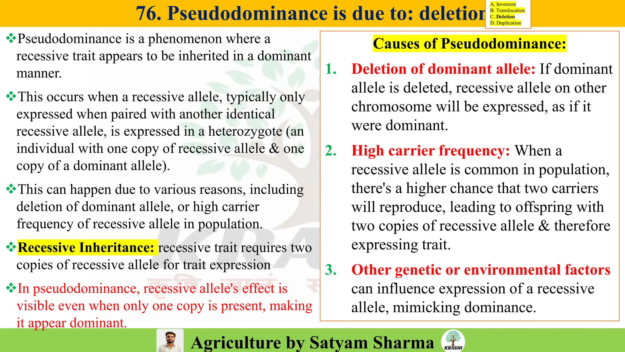 Agriculture by Satyam Sharma
76. Pseudodominance is due to: deletion
❖Pseudodominance is a phenomenon where a
recessive trait appears to be inherited in a dominant
manner.
❖This occurs when a recessive allele, typically only
expressed when paired with another identical
recessive allele, is expressed in a heterozygote (an
individual with one copy of recessive allele & one
copy of a dominant allele).
❖This can happen due to various reasons, including
deletion of dominant allele, or high carrier
frequency of recessive allele in population.
❖Recessive Inheritance: recessive trait requires two
copies of recessive allele for trait expression
❖In pseudodominance, recessive allele's effect is
visible even when only one copy is present, making
it appear dominant.
A. Inversion
B. Translocation
C. Deletion
D. Duplication
Causes of Pseudodominance:
1. Deletion of dominant allele: If dominant
allele is deleted, recessive allele on other
chromosome will be expressed, as if it
were dominant.
2. High carrier frequency: When a
recessive allele is common in population,
there's a higher chance that two carriers
will reproduce, leading to offspring with
two copies of recessive allele & therefore
expressing trait.
3. Other genetic or environmental factors
can influence expression of a recessive
allele, mimicking dominance.
 