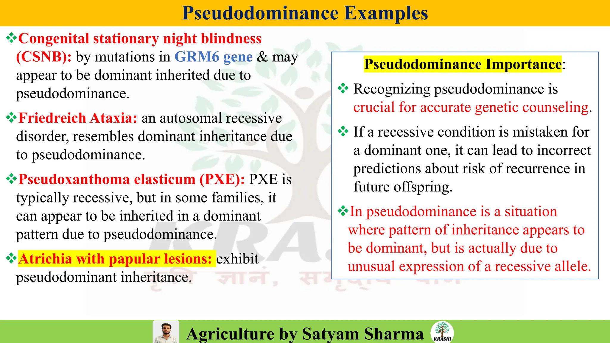 Agriculture by Satyam Sharma
Pseudodominance Examples
❖Congenital stationary night blindness
(CSNB): by mutations in GRM6 gene & may
appear to be dominant inherited due to
pseudodominance.
❖Friedreich Ataxia: an autosomal recessive
disorder, resembles dominant inheritance due
to pseudodominance.
❖Pseudoxanthoma elasticum (PXE): PXE is
typically recessive, but in some families, it
can appear to be inherited in a dominant
pattern due to pseudodominance.
❖Atrichia with papular lesions: exhibit
pseudodominant inheritance.
Pseudodominance Importance:
❖ Recognizing pseudodominance is
crucial for accurate genetic counseling.
❖ If a recessive condition is mistaken for
a dominant one, it can lead to incorrect
predictions about risk of recurrence in
future offspring.
❖In pseudodominance is a situation
where pattern of inheritance appears to
be dominant, but is actually due to
unusual expression of a recessive allele.
 