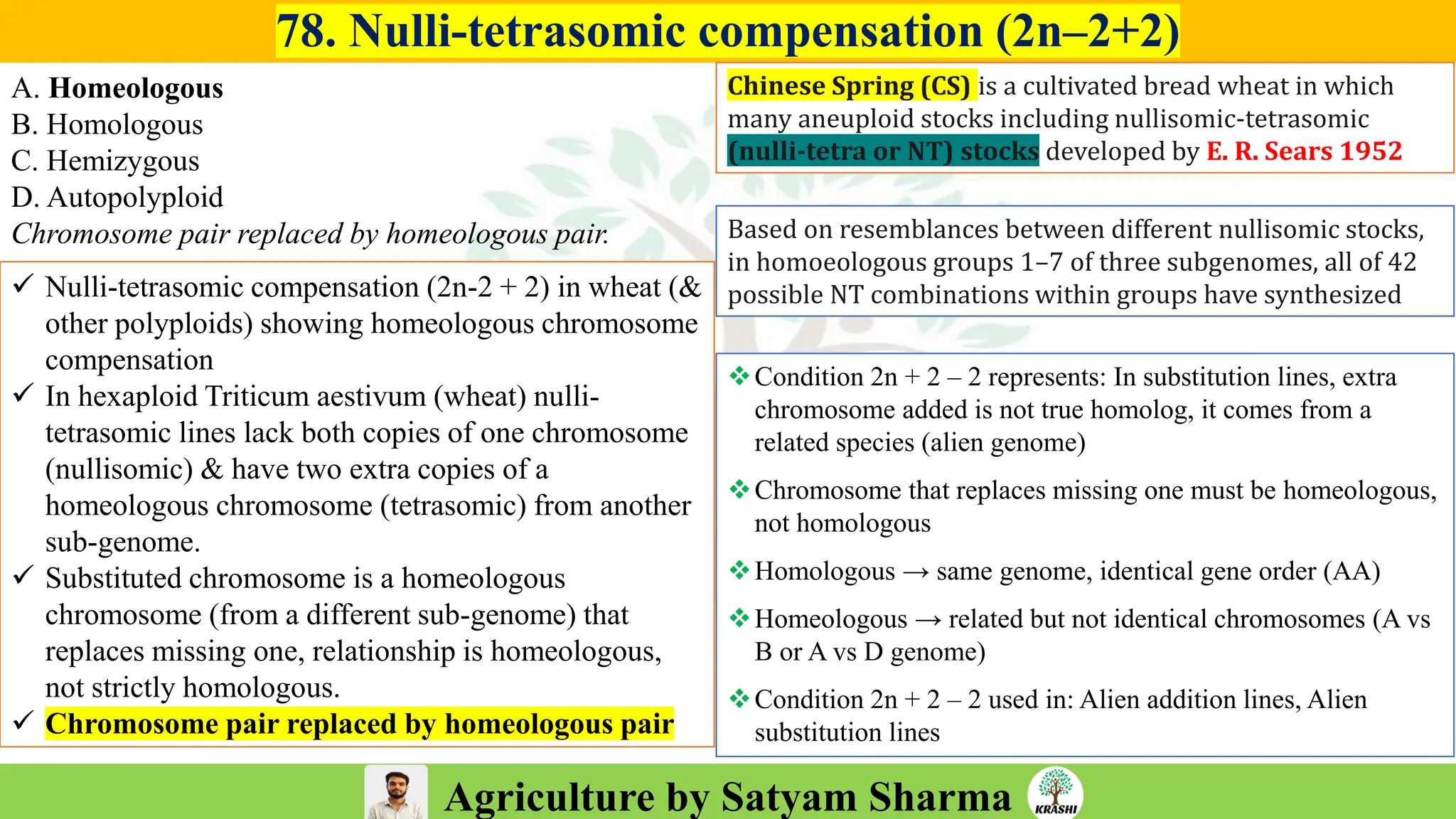 Agriculture by Satyam Sharma
78. Nulli-tetrasomic compensation (2n–2+2)
A. Homeologous
B. Homologous
C. Hemizygous
D. Autopolyploid
Chromosome pair replaced by homeologous pair.
Chinese Spring (CS) is a cultivated bread wheat in which
many aneuploid stocks including nullisomic-tetrasomic
(nulli-tetra or NT) stocks developed by E. R. Sears 1952
Based on resemblances between different nullisomic stocks,
in homoeologous groups 1–7 of three subgenomes, all of 42
possible NT combinations within groups have synthesized
❖Condition 2n + 2 – 2 represents: In substitution lines, extra
chromosome added is not true homolog, it comes from a
related species (alien genome)
❖Chromosome that replaces missing one must be homeologous,
not homologous
❖Homologous → same genome, identical gene order (AA)
❖Homeologous → related but not identical chromosomes (A vs
B or A vs D genome)
❖Condition 2n + 2 – 2 used in: Alien addition lines, Alien
substitution lines
✓ Nulli-tetrasomic compensation (2n-2 + 2) in wheat (&
other polyploids) showing homeologous chromosome
compensation
✓ In hexaploid Triticum aestivum (wheat) nulli-
tetrasomic lines lack both copies of one chromosome
(nullisomic) & have two extra copies of a
homeologous chromosome (tetrasomic) from another
sub-genome.
✓ Substituted chromosome is a homeologous
chromosome (from a different sub-genome) that
replaces missing one, relationship is homeologous,
not strictly homologous.
✓ Chromosome pair replaced by homeologous pair
 