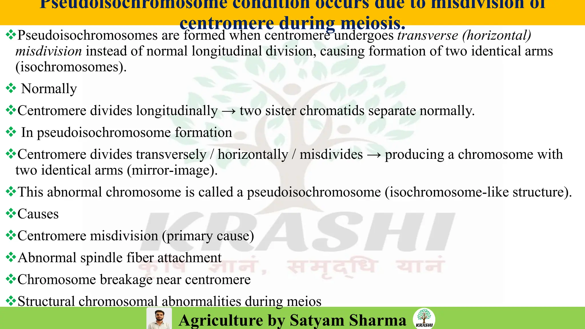 Agriculture by Satyam Sharma
Pseudoisochromosome condition occurs due to misdivision of
centromere during meiosis.
❖Pseudoisochromosomes are formed when centromere undergoes transverse (horizontal)
misdivision instead of normal longitudinal division, causing formation of two identical arms
(isochromosomes).
❖ Normally
❖Centromere divides longitudinally → two sister chromatids separate normally.
❖ In pseudoisochromosome formation
❖Centromere divides transversely / horizontally / misdivides → producing a chromosome with
two identical arms (mirror-image).
❖This abnormal chromosome is called a pseudoisochromosome (isochromosome-like structure).
❖Causes
❖Centromere misdivision (primary cause)
❖Abnormal spindle fiber attachment
❖Chromosome breakage near centromere
❖Structural chromosomal abnormalities during meios
 