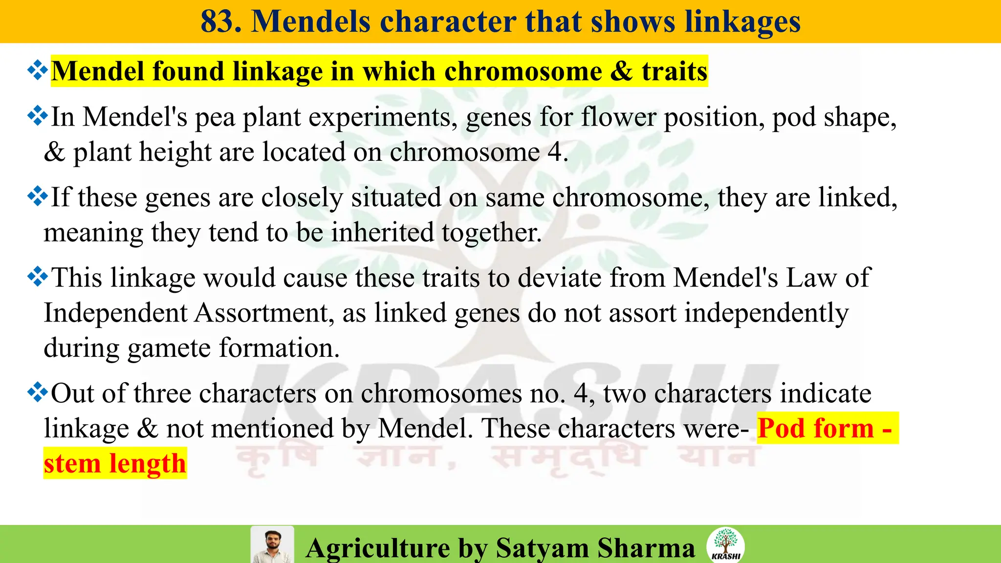 Agriculture by Satyam Sharma
83. Mendels character that shows linkages
❖Mendel found linkage in which chromosome & traits
❖In Mendel's pea plant experiments, genes for flower position, pod shape,
& plant height are located on chromosome 4.
❖If these genes are closely situated on same chromosome, they are linked,
meaning they tend to be inherited together.
❖This linkage would cause these traits to deviate from Mendel's Law of
Independent Assortment, as linked genes do not assort independently
during gamete formation.
❖Out of three characters on chromosomes no. 4, two characters indicate
linkage & not mentioned by Mendel. These characters were- Pod form -
stem length
 