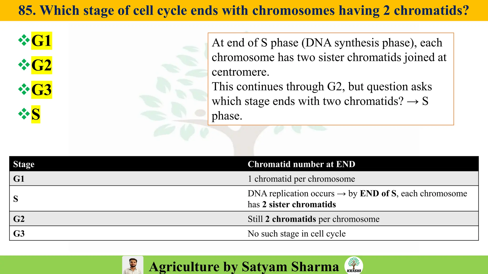Agriculture by Satyam Sharma
85. Which stage of cell cycle ends with chromosomes having 2 chromatids?
❖G1
❖G2
❖G3
❖S
Stage Chromatid number at END
G1 1 chromatid per chromosome
S
DNA replication occurs → by END of S, each chromosome
has 2 sister chromatids
G2 Still 2 chromatids per chromosome
G3 No such stage in cell cycle
At end of S phase (DNA synthesis phase), each
chromosome has two sister chromatids joined at
centromere.
This continues through G2, but question asks
which stage ends with two chromatids? → S
phase.
 