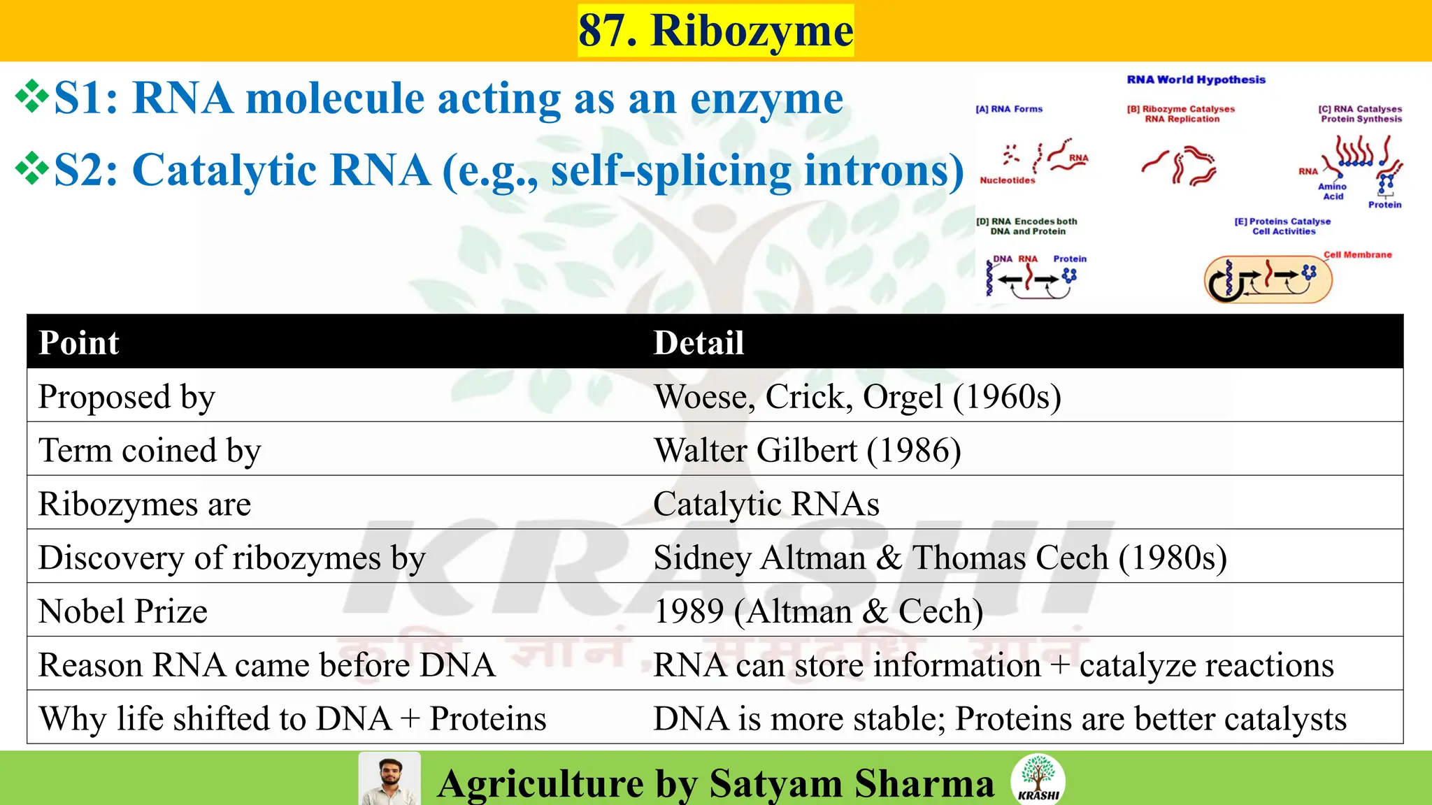 Agriculture by Satyam Sharma
Point Detail
Proposed by Woese, Crick, Orgel (1960s)
Term coined by Walter Gilbert (1986)
Ribozymes are Catalytic RNAs
Discovery of ribozymes by Sidney Altman & Thomas Cech (1980s)
Nobel Prize 1989 (Altman & Cech)
Reason RNA came before DNA RNA can store information + catalyze reactions
Why life shifted to DNA + Proteins DNA is more stable; Proteins are better catalysts
87. Ribozyme
❖S1: RNA molecule acting as an enzyme
❖S2: Catalytic RNA (e.g., self-splicing introns)
 