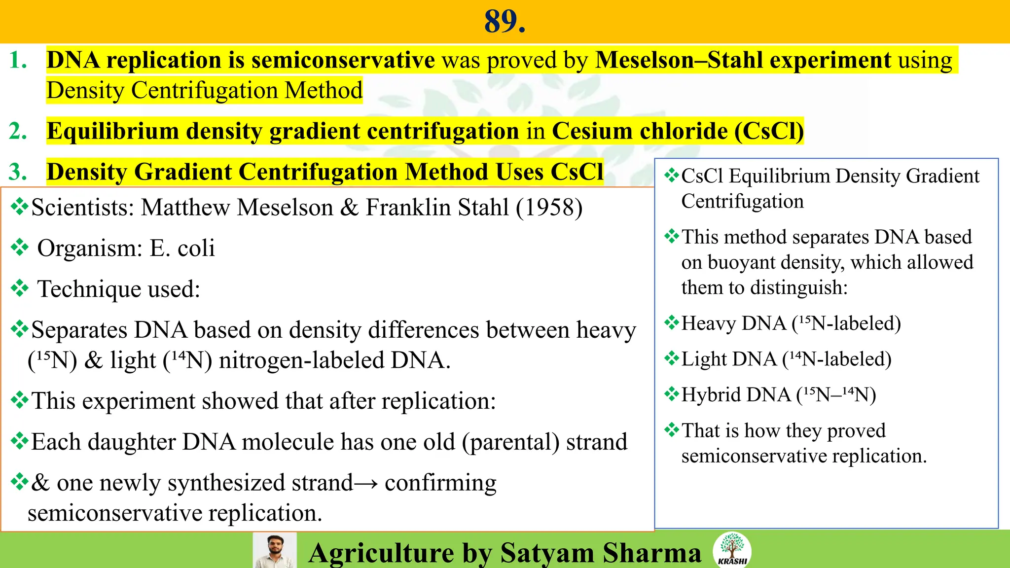 Agriculture by Satyam Sharma
89.
❖Scientists: Matthew Meselson & Franklin Stahl (1958)
❖ Organism: E. coli
❖ Technique used:
❖Separates DNA based on density differences between heavy
(¹⁵N) & light (¹⁴N) nitrogen-labeled DNA.
❖This experiment showed that after replication:
❖Each daughter DNA molecule has one old (parental) strand
❖& one newly synthesized strand→ confirming
semiconservative replication.
1. DNA replication is semiconservative was proved by Meselson–Stahl experiment using
Density Centrifugation Method
2. Equilibrium density gradient centrifugation in Cesium chloride (CsCl)
3. Density Gradient Centrifugation Method Uses CsCl ❖CsCl Equilibrium Density Gradient
Centrifugation
❖This method separates DNA based
on buoyant density, which allowed
them to distinguish:
❖Heavy DNA (¹⁵N-labeled)
❖Light DNA (¹⁴N-labeled)
❖Hybrid DNA (¹⁵N–¹⁴N)
❖That is how they proved
semiconservative replication.
 