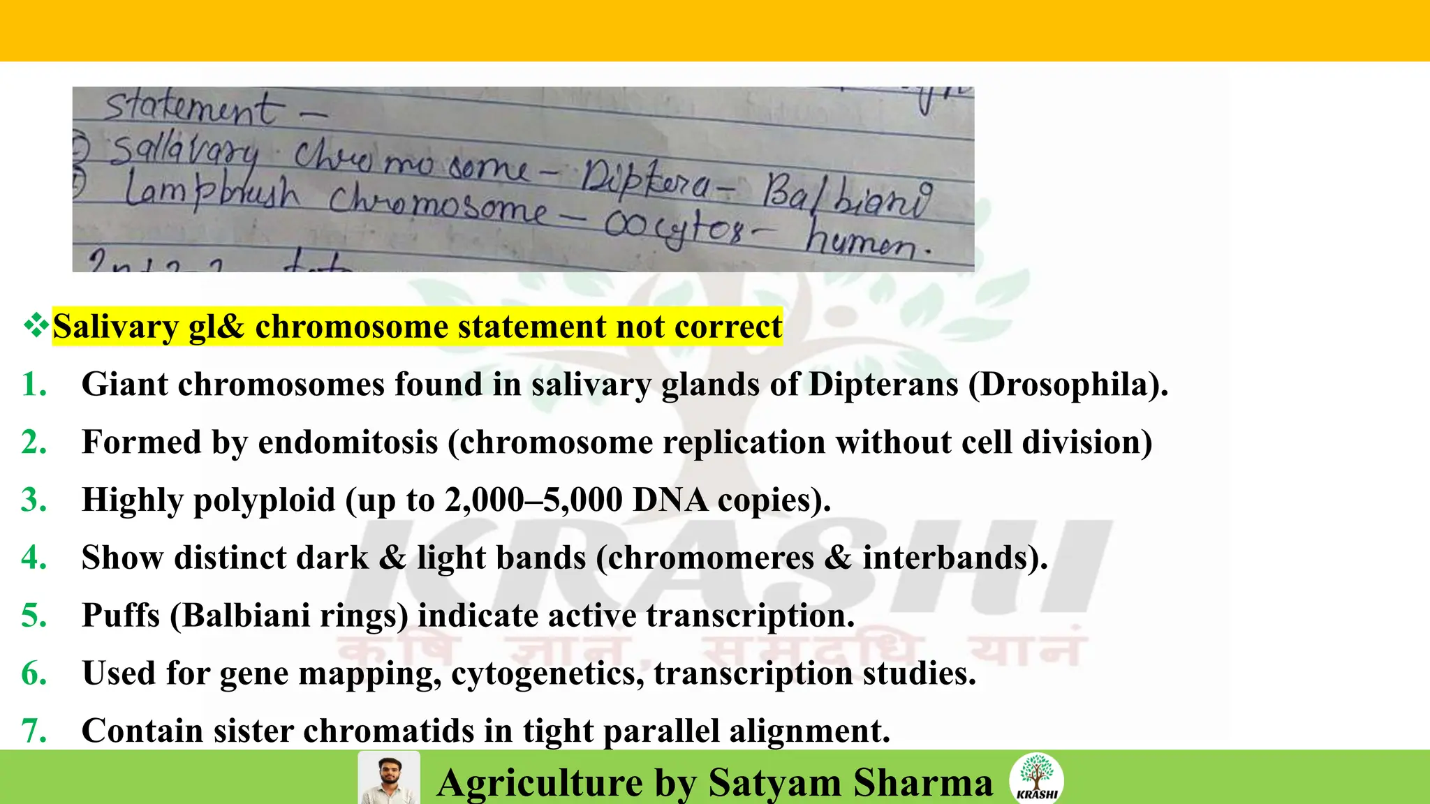 Agriculture by Satyam Sharma
❖Salivary gl& chromosome statement not correct
1. Giant chromosomes found in salivary glands of Dipterans (Drosophila).
2. Formed by endomitosis (chromosome replication without cell division)
3. Highly polyploid (up to 2,000–5,000 DNA copies).
4. Show distinct dark & light bands (chromomeres & interbands).
5. Puffs (Balbiani rings) indicate active transcription.
6. Used for gene mapping, cytogenetics, transcription studies.
7. Contain sister chromatids in tight parallel alignment.
 
