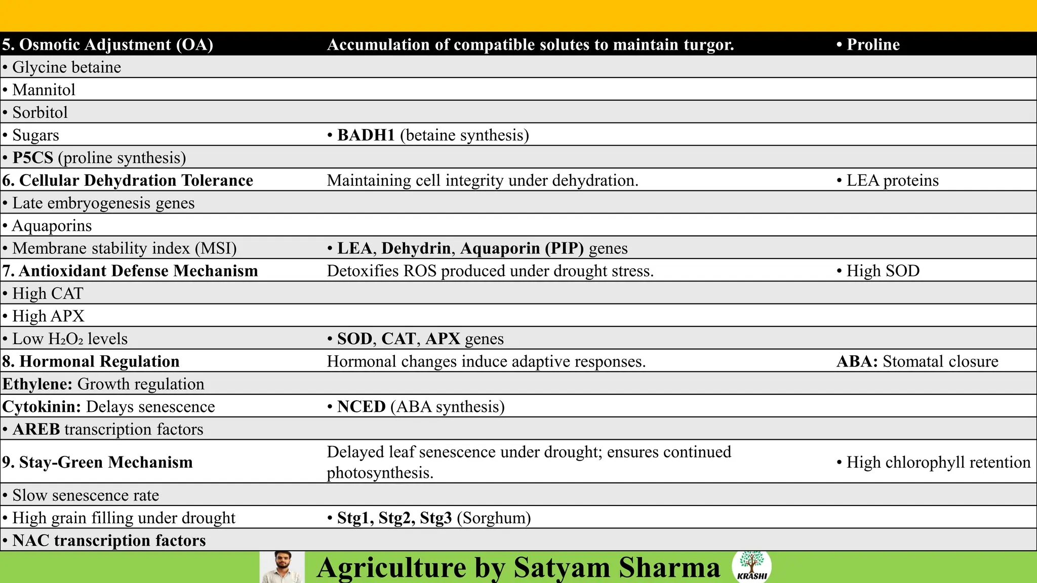 Agriculture by Satyam Sharma
5. Osmotic Adjustment (OA) Accumulation of compatible solutes to maintain turgor. • Proline
• Glycine betaine
• Mannitol
• Sorbitol
• Sugars • BADH1 (betaine synthesis)
• P5CS (proline synthesis)
6. Cellular Dehydration Tolerance Maintaining cell integrity under dehydration. • LEA proteins
• Late embryogenesis genes
• Aquaporins
• Membrane stability index (MSI) • LEA, Dehydrin, Aquaporin (PIP) genes
7. Antioxidant Defense Mechanism Detoxifies ROS produced under drought stress. • High SOD
• High CAT
• High APX
• Low H₂O₂ levels • SOD, CAT, APX genes
8. Hormonal Regulation Hormonal changes induce adaptive responses. ABA: Stomatal closure
Ethylene: Growth regulation
Cytokinin: Delays senescence • NCED (ABA synthesis)
• AREB transcription factors
9. Stay-Green Mechanism
Delayed leaf senescence under drought; ensures continued
photosynthesis.
• High chlorophyll retention
• Slow senescence rate
• High grain filling under drought • Stg1, Stg2, Stg3 (Sorghum)
• NAC transcription factors
 
